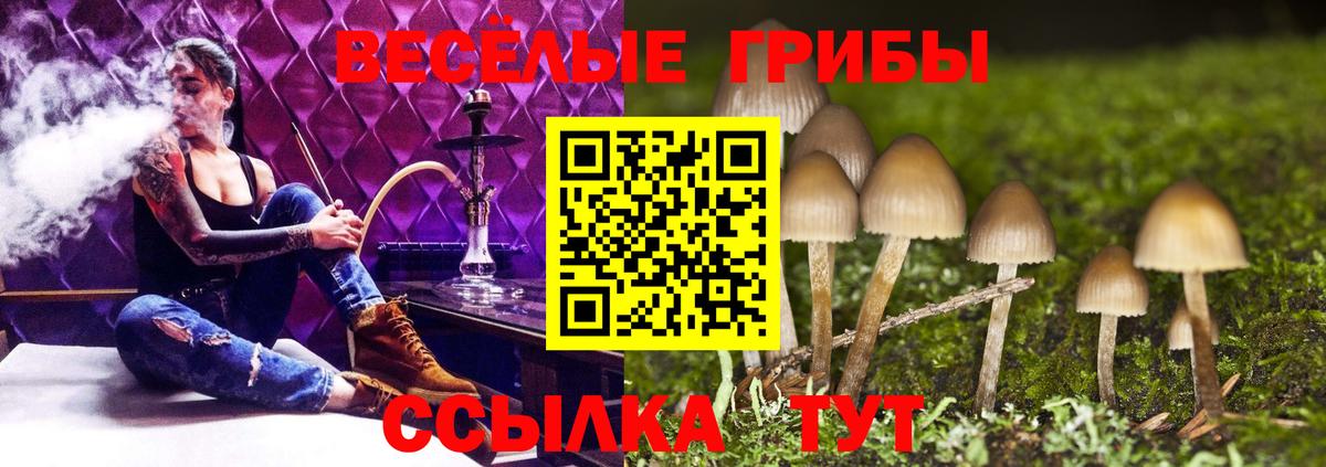 Галлюциногенные грибы GOLDEN TEACHER Павловский Посад